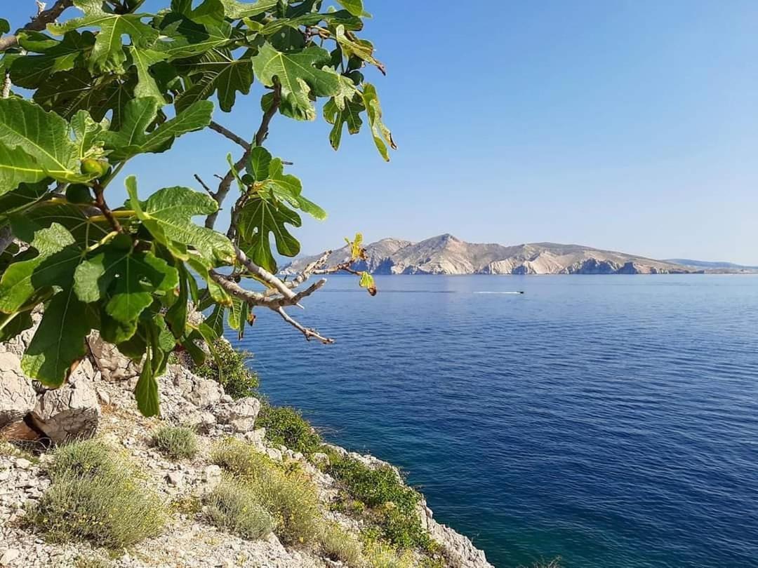 Apartments Garden Baška Zewnętrze zdjęcie